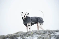 Pomppa Sportti Graphite manteau imperméable et chaud - chien