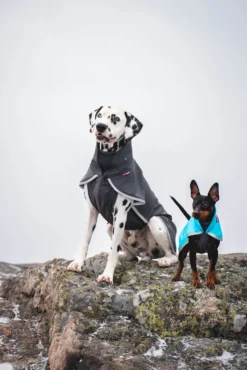 Pomppa Sportti Graphite manteau imperméable et chaud - chien