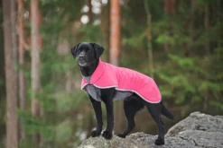 Pomppa Sportti Pink - manteau imperméable et chaud chien