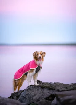 Pomppa Sportti Pink - manteau imperméable et chaud chien