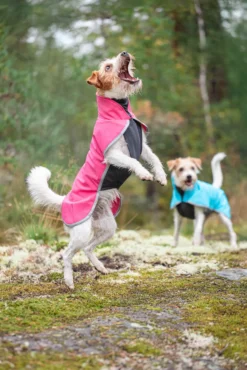 Pomppa Sportti Pink - manteau imperméable et chaud chien
