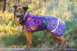 Pomppa Toppa Cosmos manteau imperméable doublé pour chien
