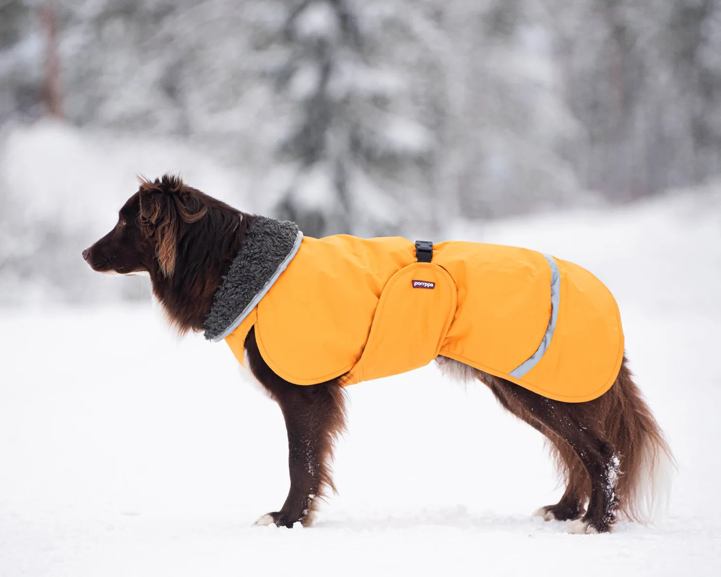 Pomppa Toppa Curry manteau imperméable doublé chien