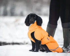 Pomppa Toppa Curry manteau imperméable doublé chien