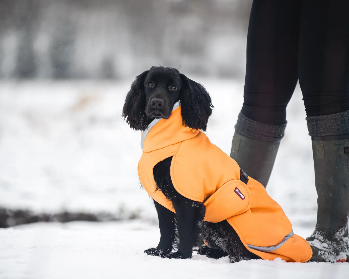 Pomppa Toppa Curry manteau imperméable doublé chien