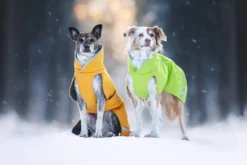Pomppa Toppa Curry manteau imperméable doublé chien