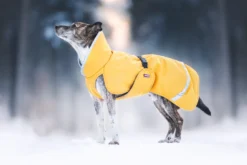 Pomppa Toppa Dandelion manteau imperméable doublé chien