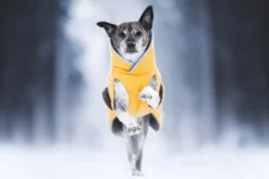 Pomppa Toppa Dandelion manteau imperméable doublé chien