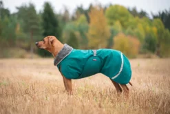 Pomppa Toppa Forest manteau imperméable doublé pour chien