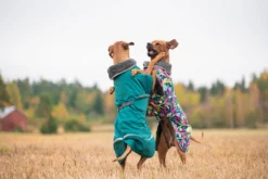 Pomppa Toppa Forest manteau imperméable doublé pour chien