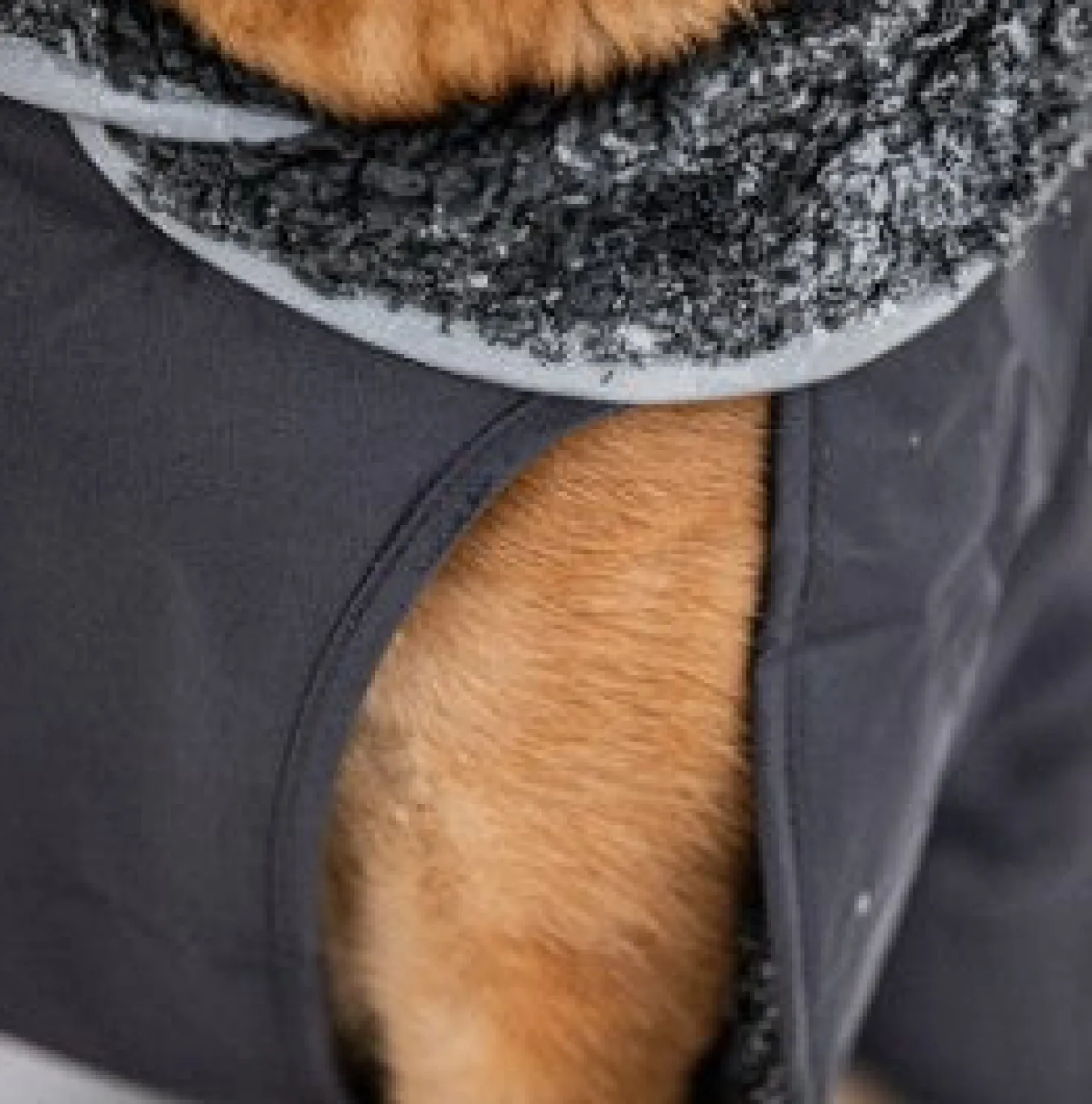 Pomppa Toppa Graphite manteau imperméable doublé pour chien