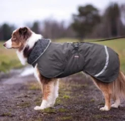 Pomppa Toppa Graphite manteau imperméable doublé pour chien