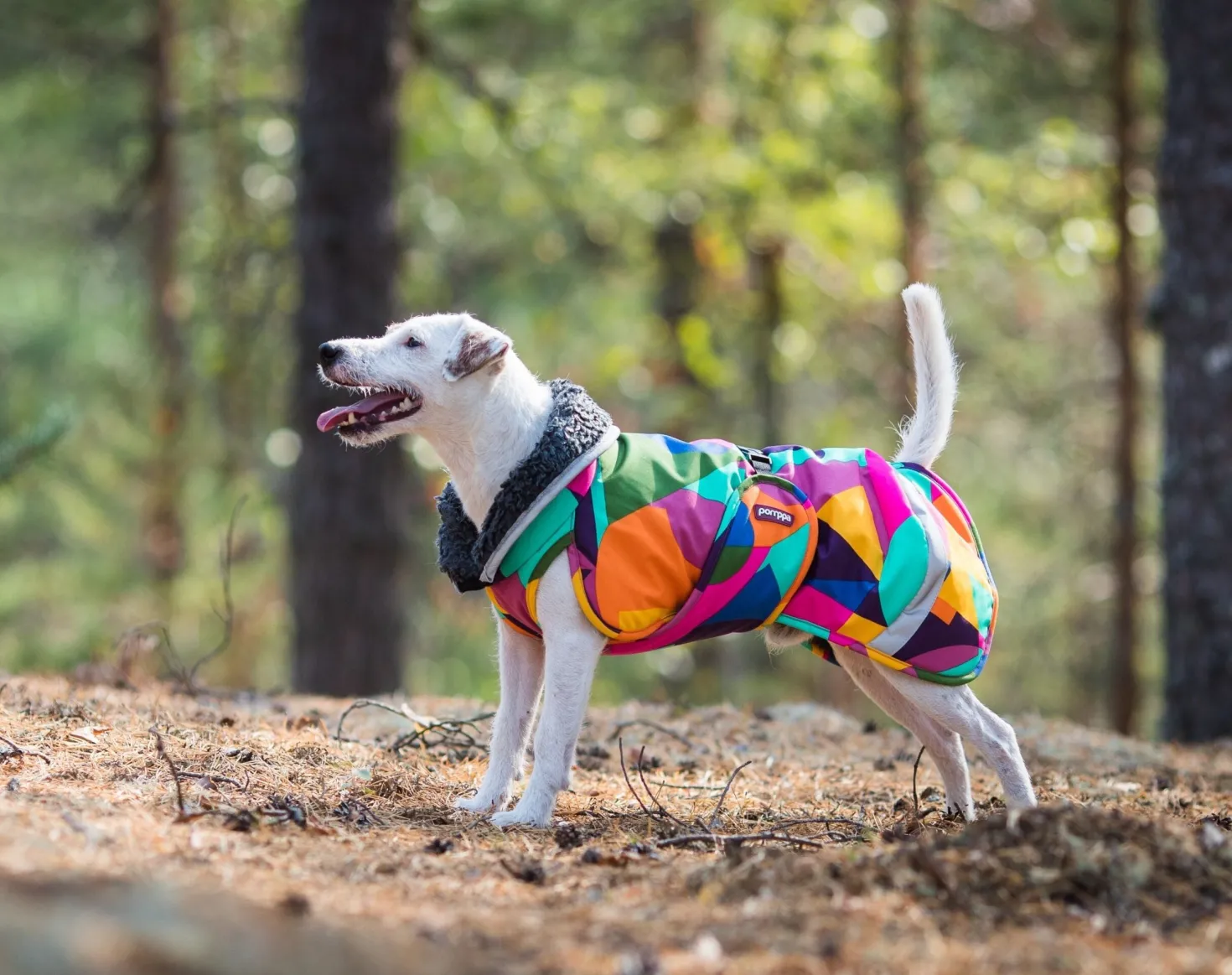 Pomppa Toppa manteau imperméable doublé pour chien Kymppi