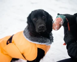 Pomppa Toppa manteau imperméable doublé pour chien Mint