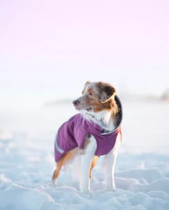 Pomppa Toppa manteau imperméable doublé pour chien Plum