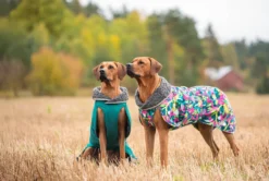 Pomppa Toppa manteau imperméable doublé pour chien Sky