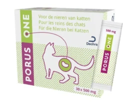 Porus One 500 mg chat