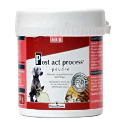 Post Act Process chat chien