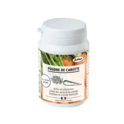 Poudre de carotte