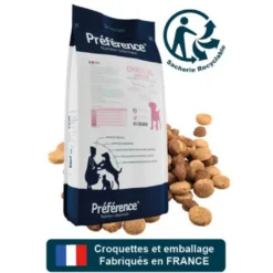 Preference Chien Junior XL