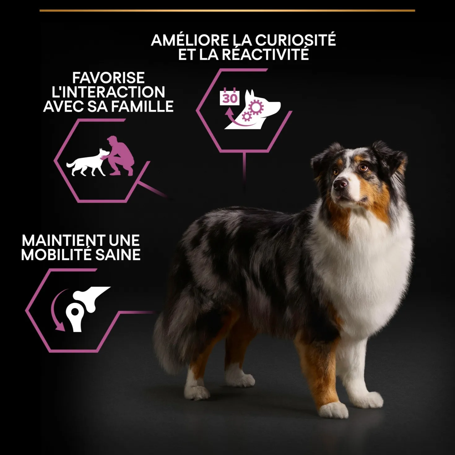 Pro Plan Age Defence Medium & Large Adult au poulet - croquettes chien