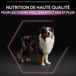 Pro Plan Age Defence Medium & Large Adult au poulet - croquettes chien