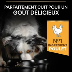 Pro Plan Age Defence Medium & Large Adult au poulet - croquettes chien