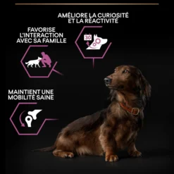 Pro Plan Age Defence Small & Mini Adult au poulet - croquettes chien