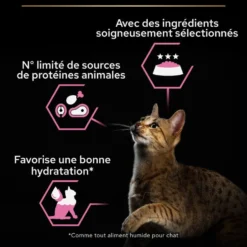 Proplan Delicate Chat Poisson Sauce Sachet repas