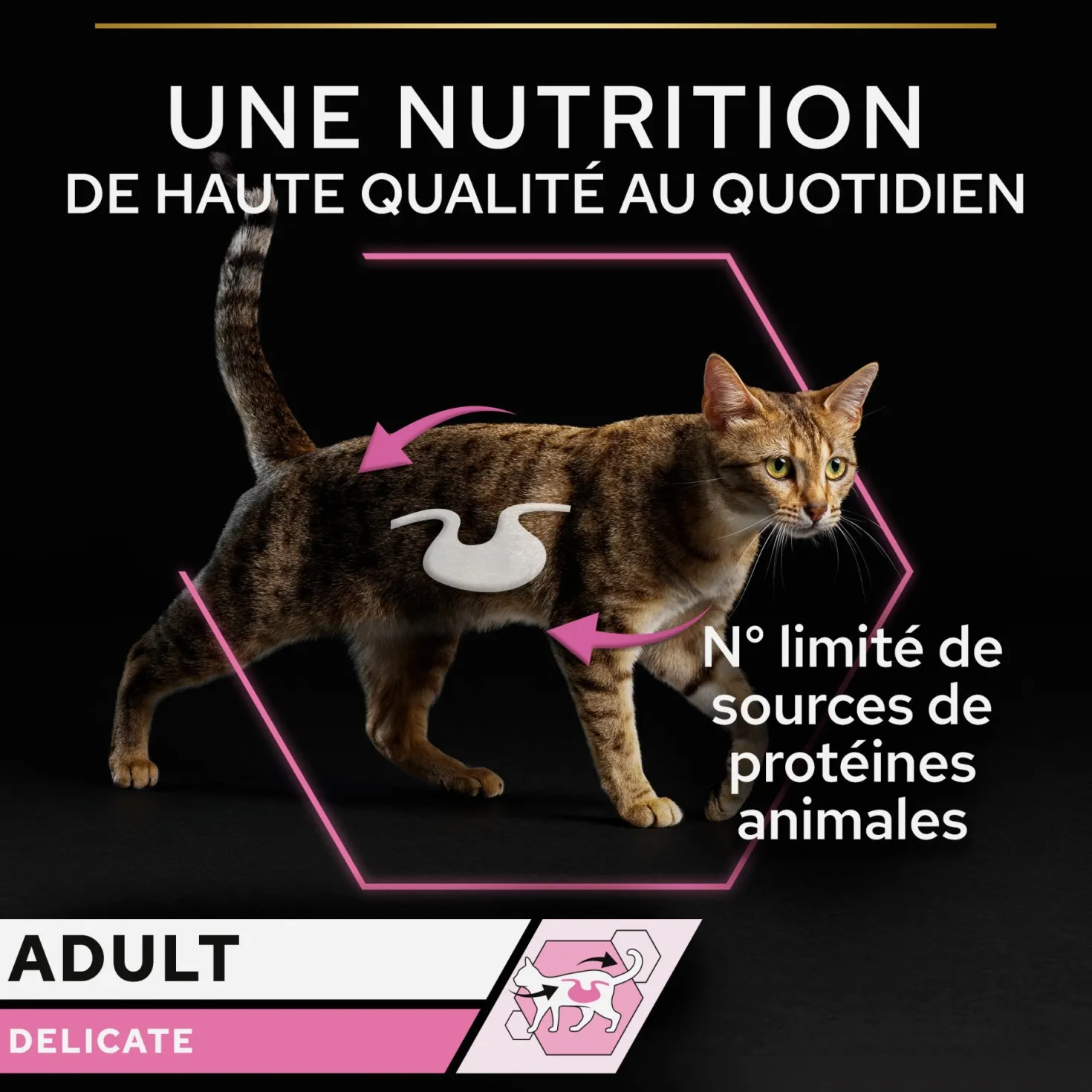 Pro Plan Delicate - pâtée chat