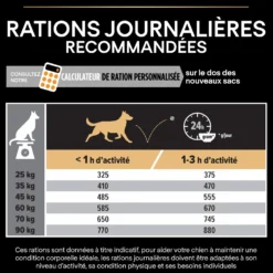 Pro Plan Everyday Nutrition Large Robust Adult au poulet - croquettes chien