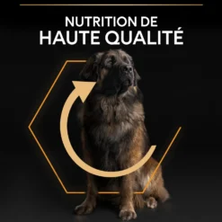 Pro Plan Everyday Nutrition Large Robust Adult au poulet - croquettes chien