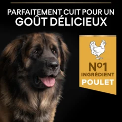 Pro Plan Everyday Nutrition Large Robust Adult au poulet - croquettes chien