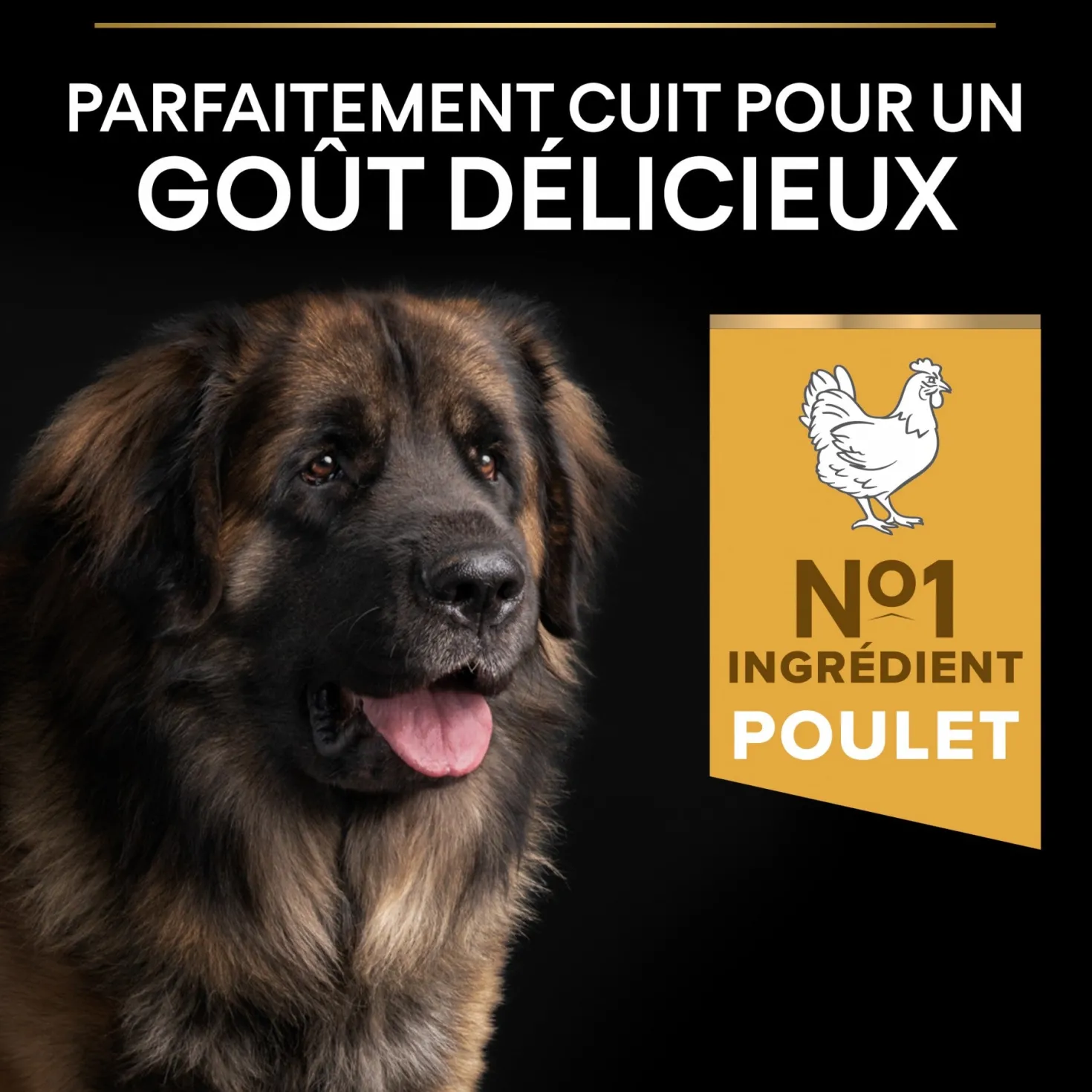 Pro Plan Everyday Nutrition Large Robust Adult au poulet - croquettes chien
