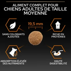 Pro Plan Everyday Nutrition Large Robust Adult au poulet - croquettes chien