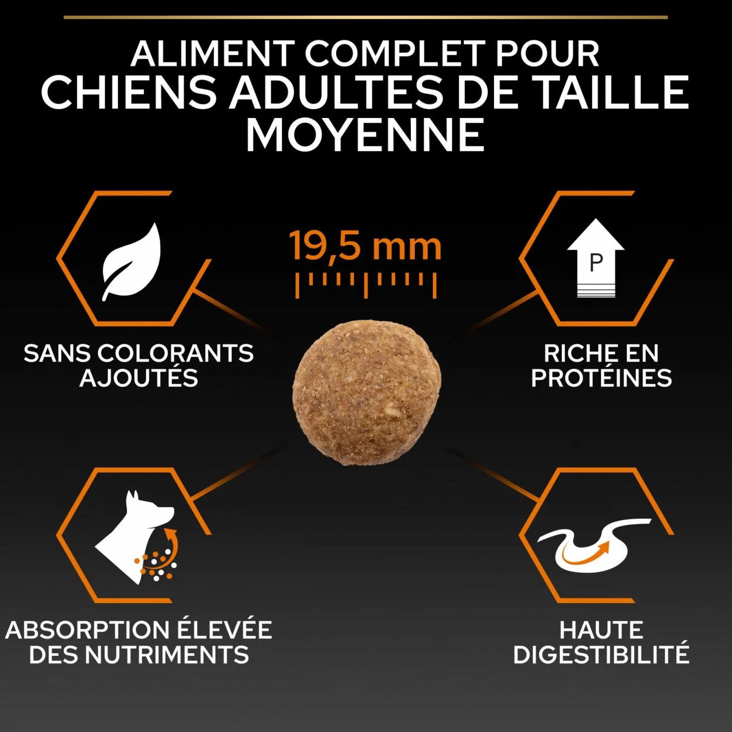 Pro Plan Everyday Nutrition Large Robust Adult au poulet - croquettes chien