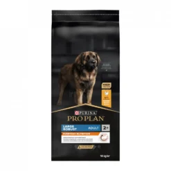 Pro Plan Everyday Nutrition Large Robust Adult au poulet - croquettes chien