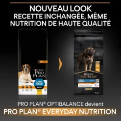 Pro Plan Everyday Nutrition Large Robust Adult au poulet - croquettes chien