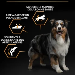 Pro Plan Everyday Nutrition Medium Adult au poulet - croquettes chien