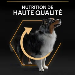 Pro Plan Everyday Nutrition Medium Adult au poulet - croquettes chien