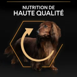 Pro Plan Everyday Nutrition Small & Mini Adult au poulet - croquettes chien