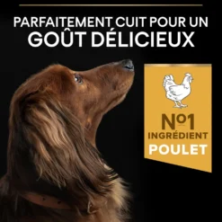 Pro Plan Everyday Nutrition Small & Mini Adult au poulet - croquettes chien