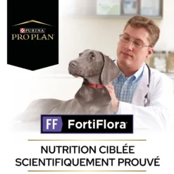Pro Plan FortiFlora en bouchées - probiotiques chien-Réapprovisionnement laboratoire fin juillet