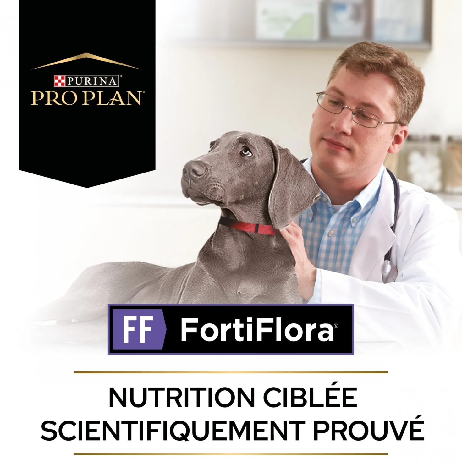 Pro Plan FortiFlora en poudre - Probiotiques pour chien