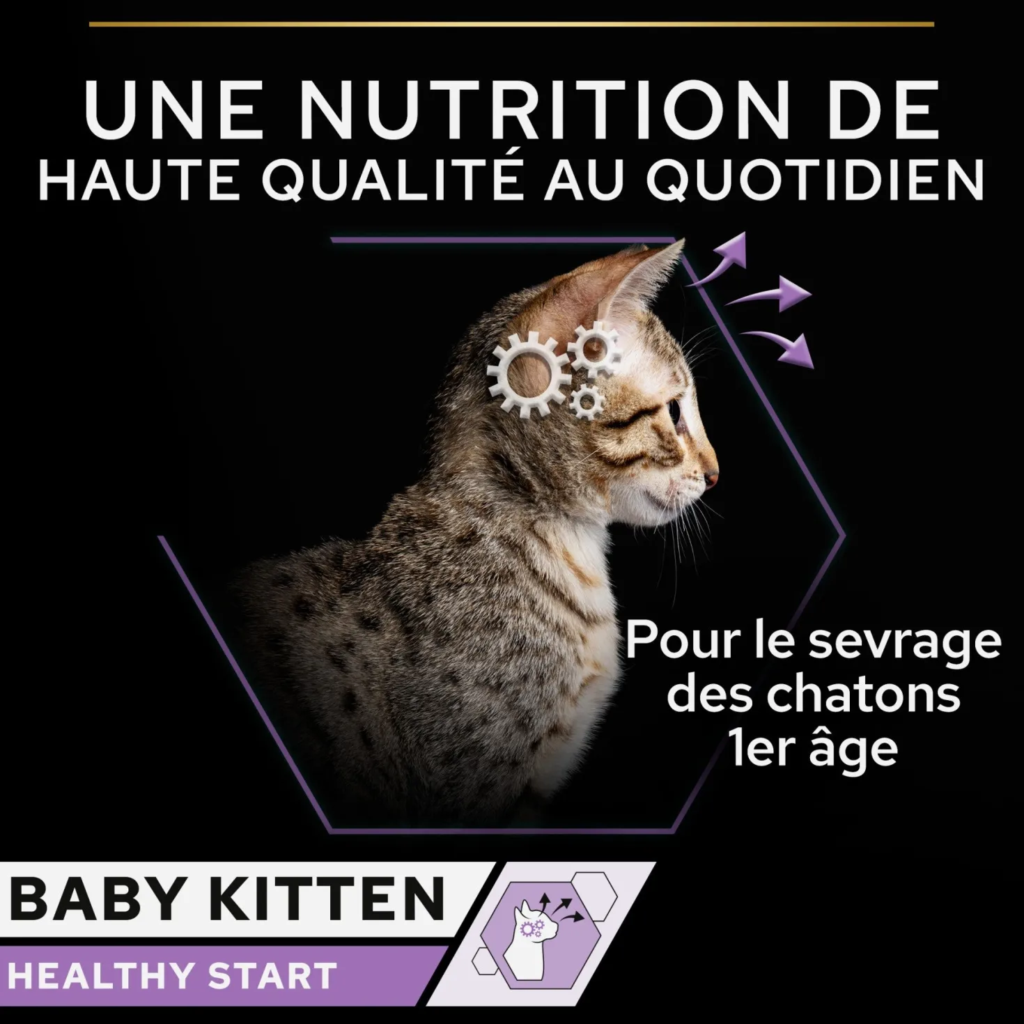 Pro Plan Healthy Start Baby Kitten en mousse au poulet - pâtée chaton