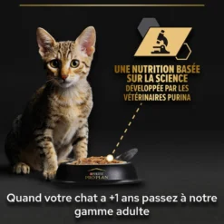 Pro Plan Healthy Start Baby Kitten en mousse au poulet - pâtée chaton