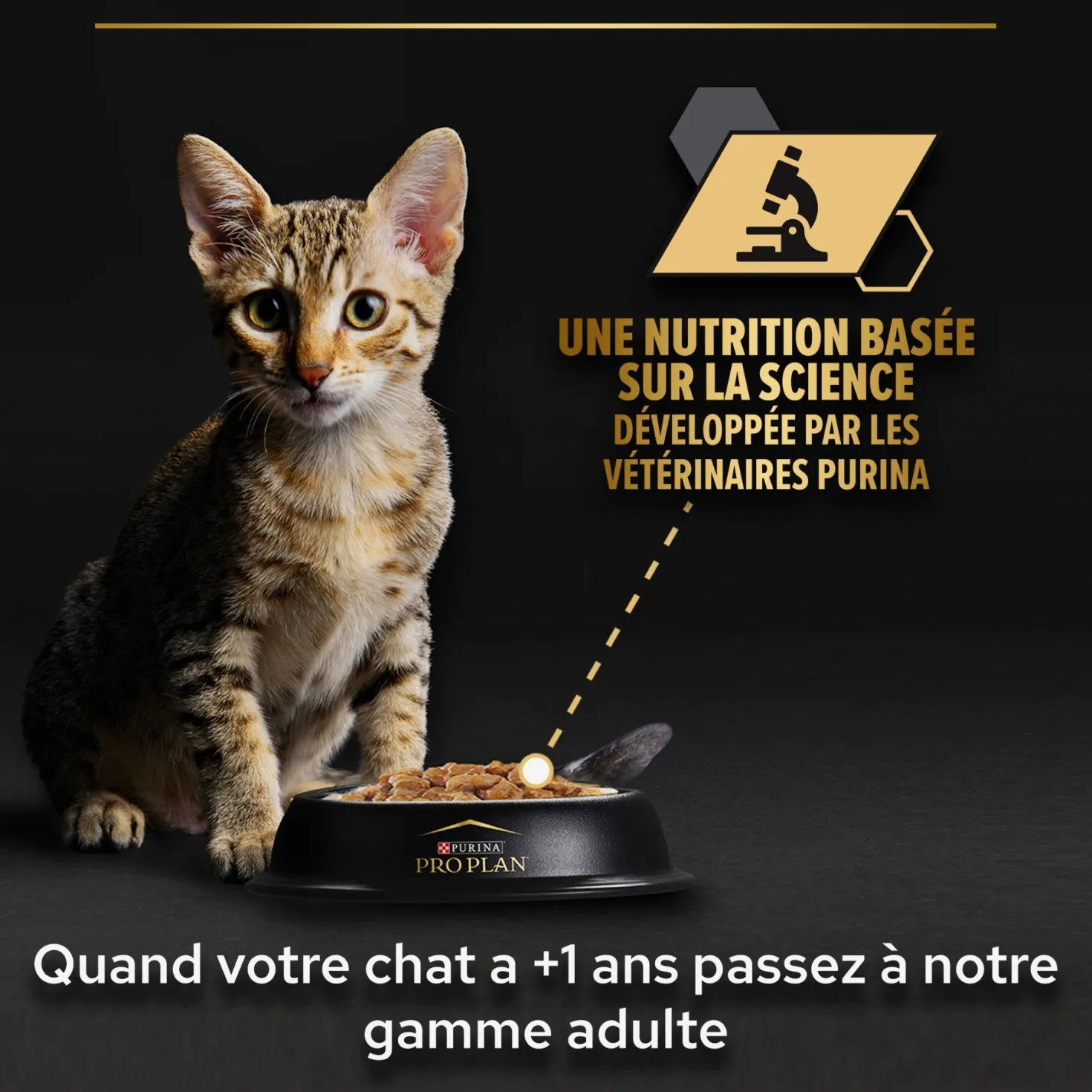 Pro Plan Healthy Start Baby Kitten en mousse au poulet - pâtée chaton