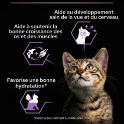 Pro Plan Healthy Start Baby Kitten en mousse au poulet - pâtée chaton