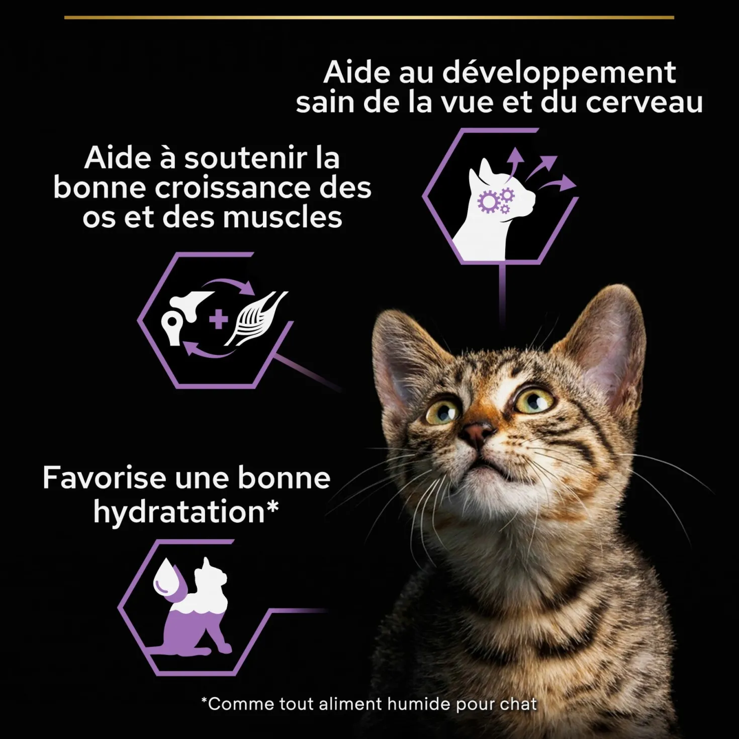 Pro Plan Healthy Start Kitten en mousse au poulet - pâtée chaton
