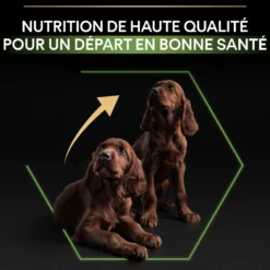 Pro Plan Healthy Start Large Athletic Puppy au poulet - croquettes chiot